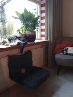 *NIEUW* katten/poezen mand voor de radiator, Ophalen of Verzenden, Nieuw, Pluche