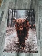 Schotse Hooglander Poster, Nieuw, Ophalen of Verzenden, Foto of Poster, 75 cm of meer