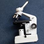 Euromex microscoop, Ophalen, Gebruikt, Minder dan 400x, Biologische microscoop