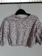 Zgan truitje met bloemetjes maat 74 HEMA, Ophalen of Verzenden, Zo goed als nieuw, Meisje, Shirtje of Longsleeve