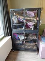 Keddoc animal home penthouse (2) compleet met 4 ratjes, Dieren en Toebehoren, Knaagdieren en Konijnen | Hokken en Kooien, Ophalen
