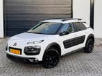 Citroën C4 Cactus 1.2 PureTech Business | 110 PK | NAP | APK, Stof, Euro 6, 1199 cc, 995 kg