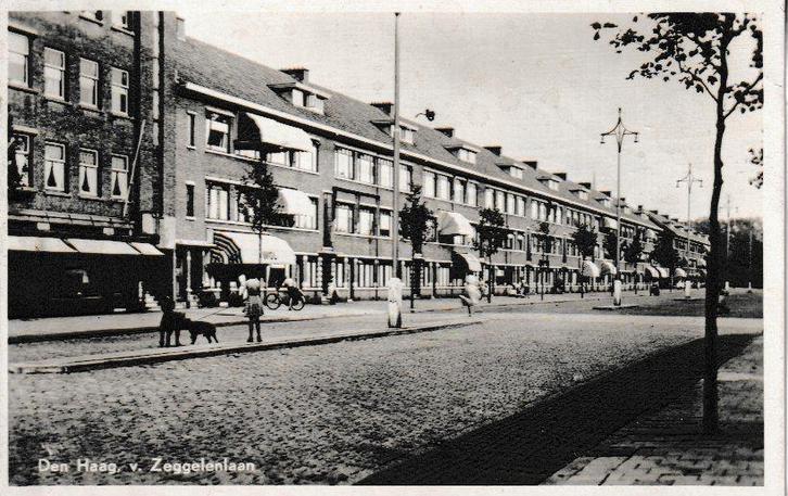 DEN HAAG - v. ZEGGELENLAAN, Verzamelen, Ansichtkaarten | Nederland, Ongelopen, Zuid-Holland, 1940 tot 1960, Ophalen of Verzenden