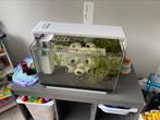 Superfish home 60, Dieren en Toebehoren, Vissen | Aquaria en Toebehoren, Ophalen, Zo goed als nieuw, Leeg aquarium