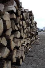 Te koop: kloofpalen voor afrastering (gekloofde palen), Tuin en Terras, Ophalen, Nieuw, 180 tot 250 cm, Palen