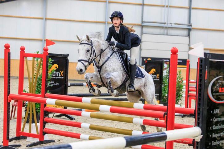 Super New Forest springpony / sportpony te koop, Dieren en Toebehoren, Pony's, Merrie, Z, D pony (1.37m tot 1.48m), Springpony