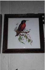 4 x Vogel Tegels, Antiek en Kunst, Antiek | Wandborden en Tegels, Ophalen of Verzenden