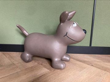 Skippy hond beschikbaar voor biedingen