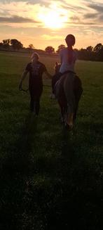 Paardrijles aangeboden, Ophalen of Verzenden