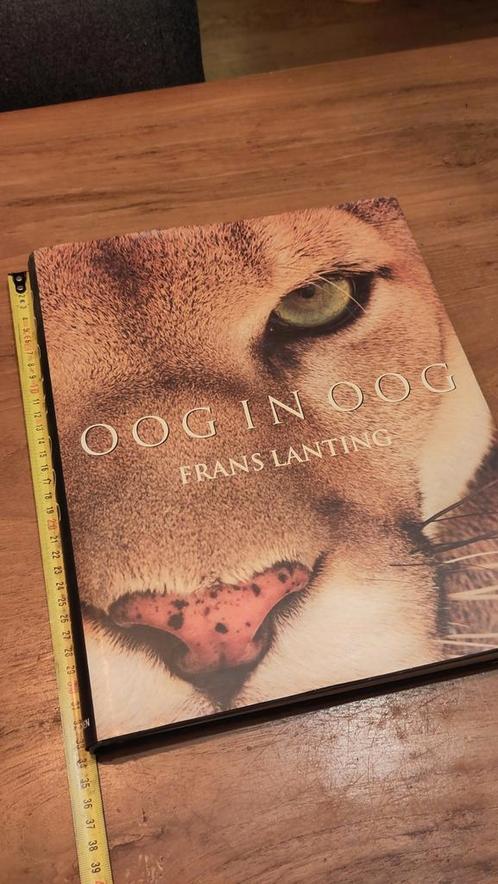 Oog in oog van Frans Lanting fotoboek, Boeken, Dieren en Huisdieren, Zo goed als nieuw, Katten, Ophalen of Verzenden