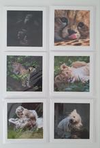 Set 6 wenskaarten baby dieren limited edition, Ophalen of Verzenden, 1980 tot heden, Wild dier