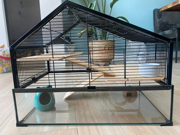 Knaagdierenkooi beeztees nolan, Dieren en Toebehoren, Knaagdieren en Konijnen | Hokken en Kooien, Zo goed als nieuw, Kooi, Minder dan 60 cm