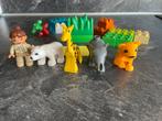 Duplo 4962 babydierentuin, Kinderen en Baby's, Speelgoed | Duplo en Lego, Ophalen of Verzenden, Zo goed als nieuw, Complete set