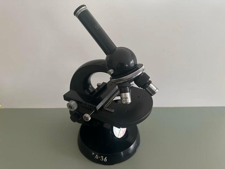 Carl Zeiss Vintage Biologische Microscoop, Audio, Tv en Foto, Optische apparatuur | Microscopen, Gebruikt, Biologische microscoop