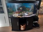 Aquarium juwel vision 260 met ledverlichting, Dieren en Toebehoren, Vissen | Aquaria en Toebehoren, Ophalen, Gebruikt, Leeg aquarium
