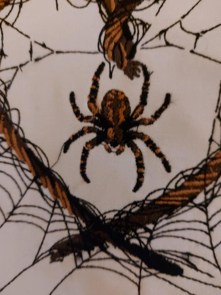 Wie heeft nog interesse in enkele enge spinnen?, Hobby en Vrije tijd, Feestartikelen, Halloween of Griezel, Ophalen of Verzenden