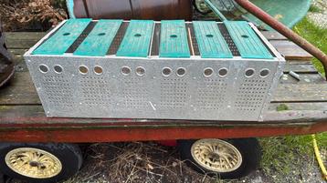 Duivenmand beschikbaar voor biedingen