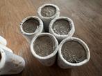 26 Rolletjes Uganda Munten 1987, Ophalen of Verzenden, Buitenland, Munten