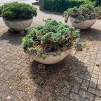 Grote ronde zware plantenbakken bloembakken planten schaal, Ophalen, Steen, Minder dan 60 cm, Rond