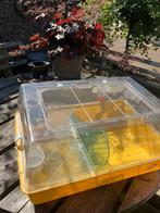 hamsterkooi met verdieping,drinkflesje,eetbakje,draairat., Dieren en Toebehoren, Kooi, Minder dan 75 cm, Zo goed als nieuw, Hamster