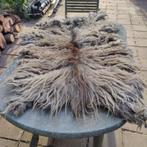 Mooie schapenvachtjes voor spinnen of vachtvilten, Ophalen of Verzenden, Nieuw, Spinwol