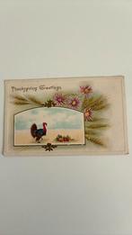 Thanksgiving greetings Kalkoen, bloemen.reliëfkaart 1915, Ophalen of Verzenden, Voor 1920