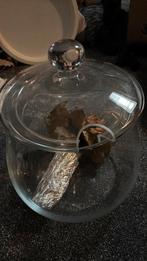 Bowlschaal, Overige materialen, Ophalen of Verzenden, Overige stijlen, Schaal of Schalen