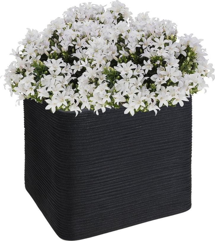 Plantenbak(ken) Stenen Muur design 38x38x32cm Antr., Tuin en Terras, Bloembakken en Plantenbakken, Nieuw, Steen, Binnen, Balkon