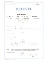 Hongaars leren van een Hongaarse, Diensten en Vakmensen, Bijles, Privé-les en Taalles, Privéles, Taalles