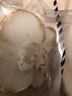 Roosvormige Bedankjes Kaarsjes, Hobby en Vrije tijd, Feestartikelen, Ophalen of Verzenden, Nieuw