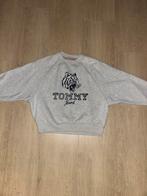 Tommy Hilfiger trui, Kleding | Dames, Truien en Vesten, Verzenden, Zo goed als nieuw, Maat 36 (S), Grijs