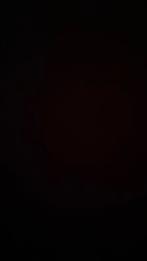 Zimomo gezocht !!!! Nep nep nep, Eén persoon, Cadeaubon, Overige typen