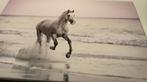 Wand schilderij paard, Ophalen of Verzenden, Nieuw