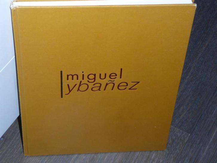 FRANS BOENDERS - Miguel Ybanez en de abstracte schilderkunst, Boeken, Kunst en Cultuur | Beeldend, Zo goed als nieuw, Schilder- en Tekenkunst