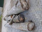 stammen hout van afgelopen voorjaar, Tuin en Terras, Ophalen, Overige houtsoorten
