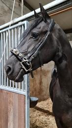 ✨️️Makkelijk+Zacht BUSSE Anatomix Kaptoom! MET + ZONDER Bit✨, Dieren en Toebehoren, Paarden en Pony's | Hoofdstellen en Tuigage
