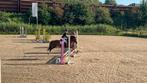 Super leuke sportpony te koop!, Dieren en Toebehoren, Pony's, Ruin, Springpony, L, B pony (1.17m tot 1.27m)