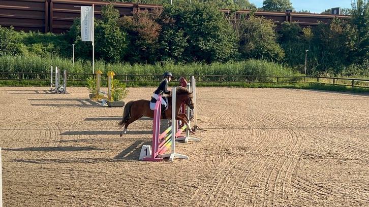 Super leuke sportpony te koop!, Dieren en Toebehoren, Pony's, Ruin, L, B pony (1.17m tot 1.27m), Springpony, 11 jaar of ouder