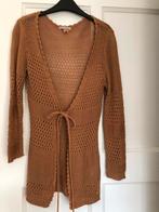 Mooi vest - PHARD, Ophalen of Verzenden, Zo goed als nieuw, Maat 38/40 (M), Beige