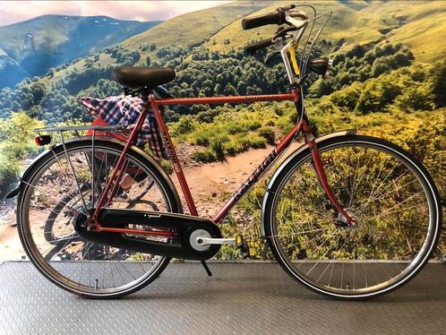 Releigh Nottingham Heren, 61 CM, Fietsen en Brommers, Fietsen | Dames | Damesfietsen, Zo goed als nieuw, Versnellingen, Ophalen