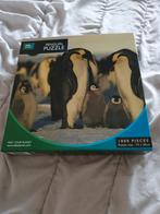 BBC Earth Pinguïn Puzzel - 1000 stukjes, Hobby en Vrije tijd, Denksport en Puzzels, Ophalen of Verzenden, 500 t/m 1500 stukjes