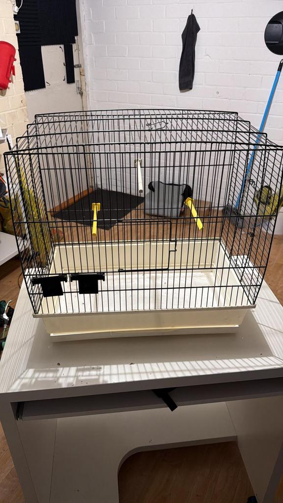 Kooien voor vogels, Ophalen of Verzenden, Gebruikt, Metaal, Vogelkooi