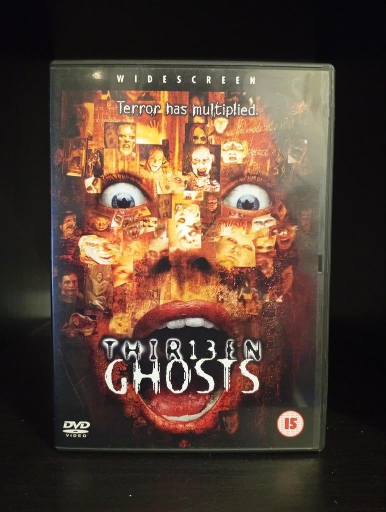 Thir13en Ghosts DVD, Vanaf 16 jaar, Ophalen of Verzenden, Gebruikt, Overige genres