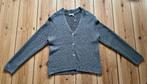 Belluna vest / cardigan - Grijs maat 5 (Medium Large) NIEUW, Ophalen of Verzenden, Nieuw, Maat 38/40 (M), Grijs