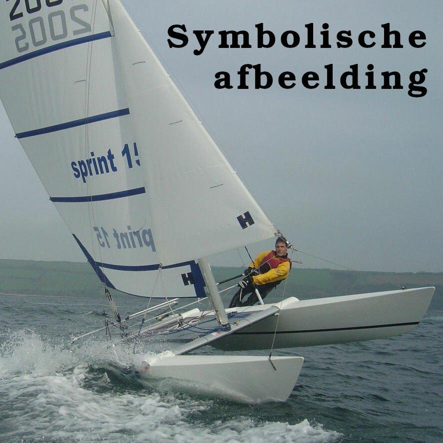 Dart 15 Sting Catamaran te koop, Ophalen, Gebruikt, Overige typen