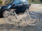 Batavus Diva, 56 cm of meer, Ophalen, Zo goed als nieuw, Batavus