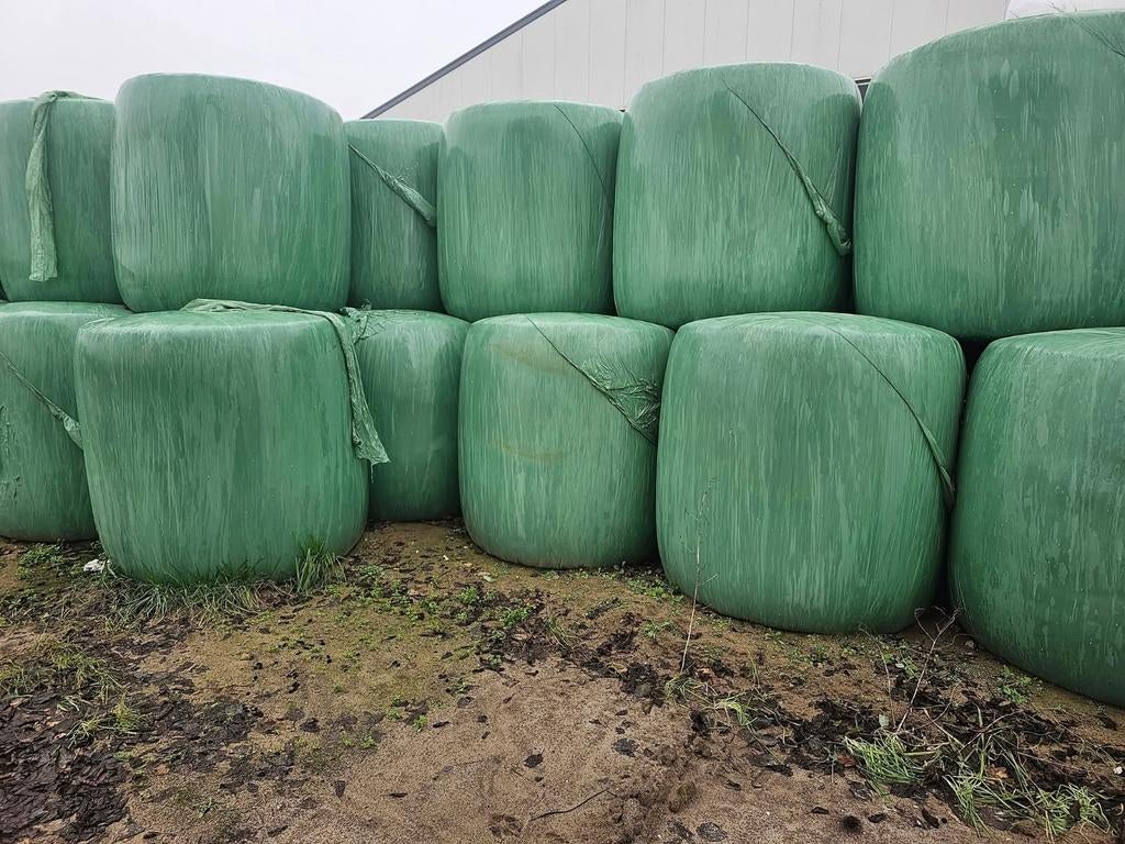 Maisbalen te koop, Ophalen, Vee