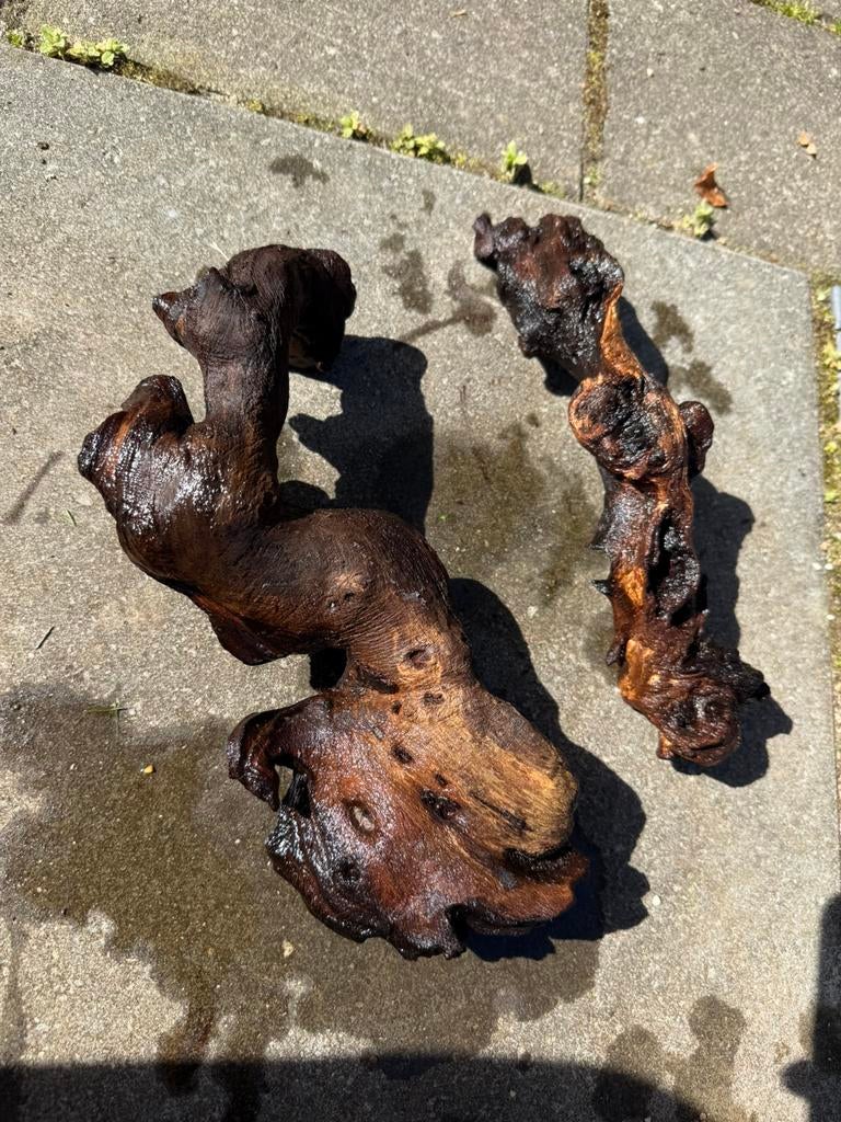 3. Aquariumhout / driftwood, Vis