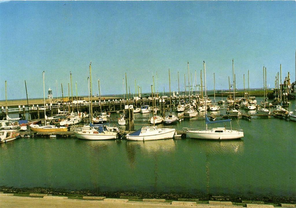 Terneuzen, Jachthaven - 1989? gelopen, Ophalen of Verzenden, Voor 1920, Gelopen, Zeeland