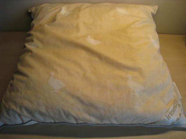 Hoofdkussen Irisette, 60x60, vulling 500 gr, 50% ganzendons, Huis en Inrichting, Slaapkamer | Beddengoed, Dekbedovertrek, Tweepersoons